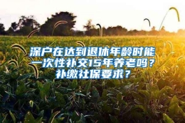 深户在达到退休年龄时能一次性补交15年养老吗？补缴社保要求？