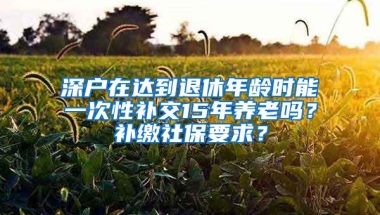 深户在达到退休年龄时能一次性补交15年养老吗？补缴社保要求？