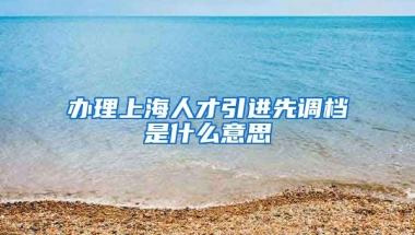 办理上海人才引进先调档是什么意思