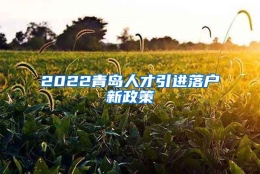 2022青岛人才引进落户新政策