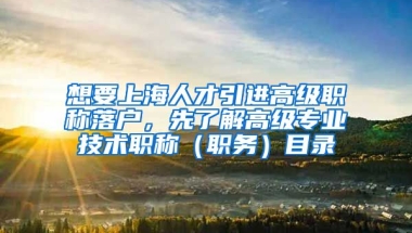 想要上海人才引进高级职称落户，先了解高级专业技术职称（职务）目录