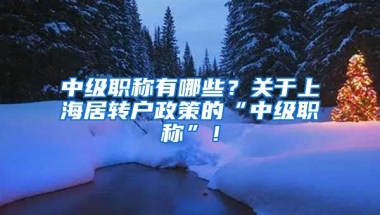 中级职称有哪些？关于上海居转户政策的“中级职称”！