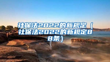 社保法2022的新规定（社保法2022的新规定88条）