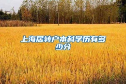 上海居转户本科学历有多少分