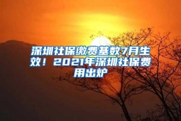 深圳社保缴费基数7月生效！2021年深圳社保费用出炉