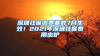 深圳社保缴费基数7月生效！2021年深圳社保费用出炉