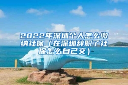 2022年深圳个人怎么缴纳社保（在深圳辞职了社保怎么自己交）