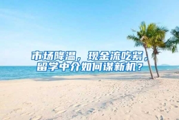 市场降温，现金流吃紧，留学中介如何谋新机？