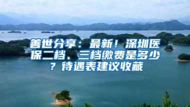 善世分享：最新！深圳医保二档、三档缴费是多少？待遇表建议收藏