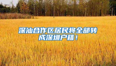 深汕合作区居民将全部转成深圳户籍！