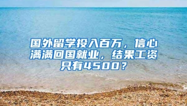 国外留学投入百万，信心满满回国就业，结果工资只有4500？