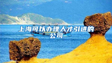 上海可以办理人才引进的公司