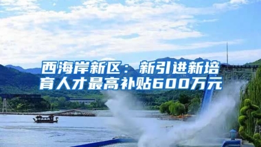 西海岸新区：新引进新培育人才最高补贴600万元