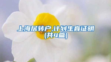 上海居转户,计划生育证明(共4篇)