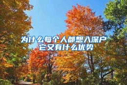 为什么每个人都想入深户 它又有什么优势