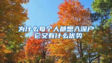 为什么每个人都想入深户 它又有什么优势