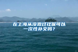 在上海从没激过社保可以一次性补交吗？