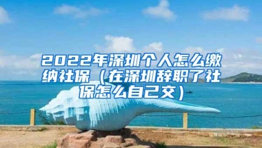 2022年深圳个人怎么缴纳社保（在深圳辞职了社保怎么自己交）