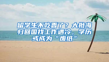 留学生不吃香了？大批海归回国找工作遇冷，学历或成为“废纸”