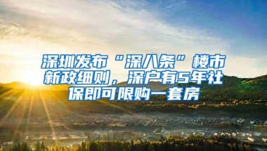 深圳发布“深八条”楼市新政细则，深户有5年社保即可限购一套房