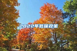 2022年低保政策