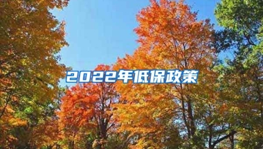 2022年低保政策