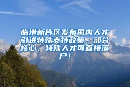 临港新片区发布国内人才引进特殊支持政策，部分核心、特殊人才可直接落户！