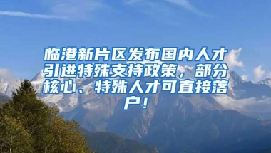 临港新片区发布国内人才引进特殊支持政策，部分核心、特殊人才可直接落户！