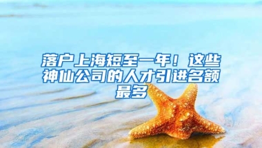 落户上海短至一年！这些神仙公司的人才引进名额最多