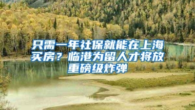 只需一年社保就能在上海买房？临港为留人才将放重磅级炸弹