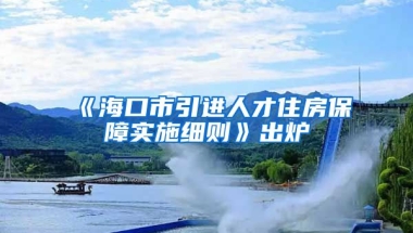 《海口市引进人才住房保障实施细则》出炉