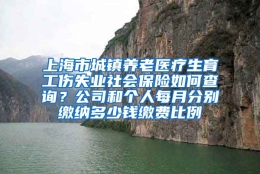 上海市城镇养老医疗生育工伤失业社会保险如何查询？公司和个人每月分别缴纳多少钱缴费比例