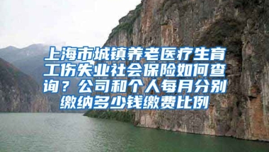 上海市城镇养老医疗生育工伤失业社会保险如何查询？公司和个人每月分别缴纳多少钱缴费比例