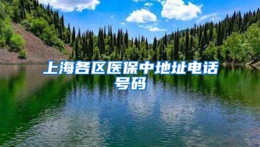 上海各区医保中地址电话号码