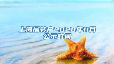 上海居转户2020年11月公示时间