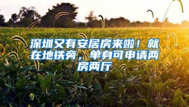 深圳又有安居房来啦！就在地铁旁，单身可申请两房两厅