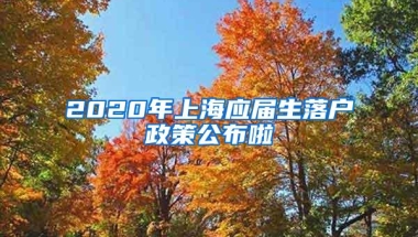 2020年上海应届生落户政策公布啦