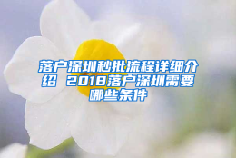 落户深圳秒批流程详细介绍 2018落户深圳需要哪些条件