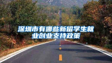 深圳市有哪些新留学生就业创业支持政策