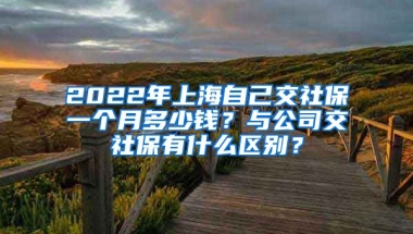 2022年上海自己交社保一个月多少钱？与公司交社保有什么区别？