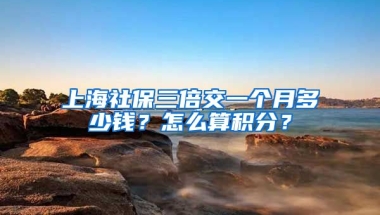 上海社保三倍交一个月多少钱？怎么算积分？