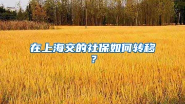 在上海交的社保如何转移？