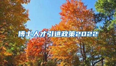 博士人才引进政策2022