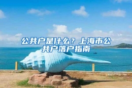 公共户是什么？上海市公共户落户指南