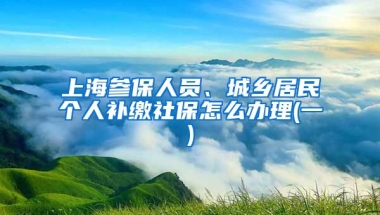 上海参保人员、城乡居民个人补缴社保怎么办理(一)