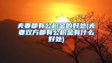 夫妻都有公积金的好处(夫妻双方都有公积金有什么好处)