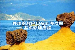 外地农村户口在上海社保怎么办理流程