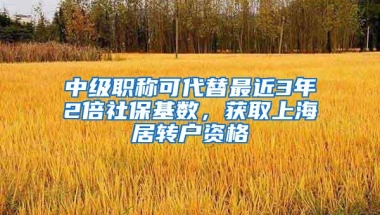 中级职称可代替最近3年2倍社保基数，获取上海居转户资格