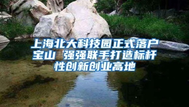 上海北大科技园正式落户宝山 强强联手打造标杆性创新创业高地