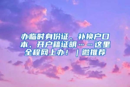 办临时身份证、补换户口本、开户籍证明……这里全程网上办！｜微推荐